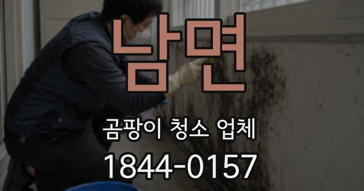 남면 곰팡이 청소 업체