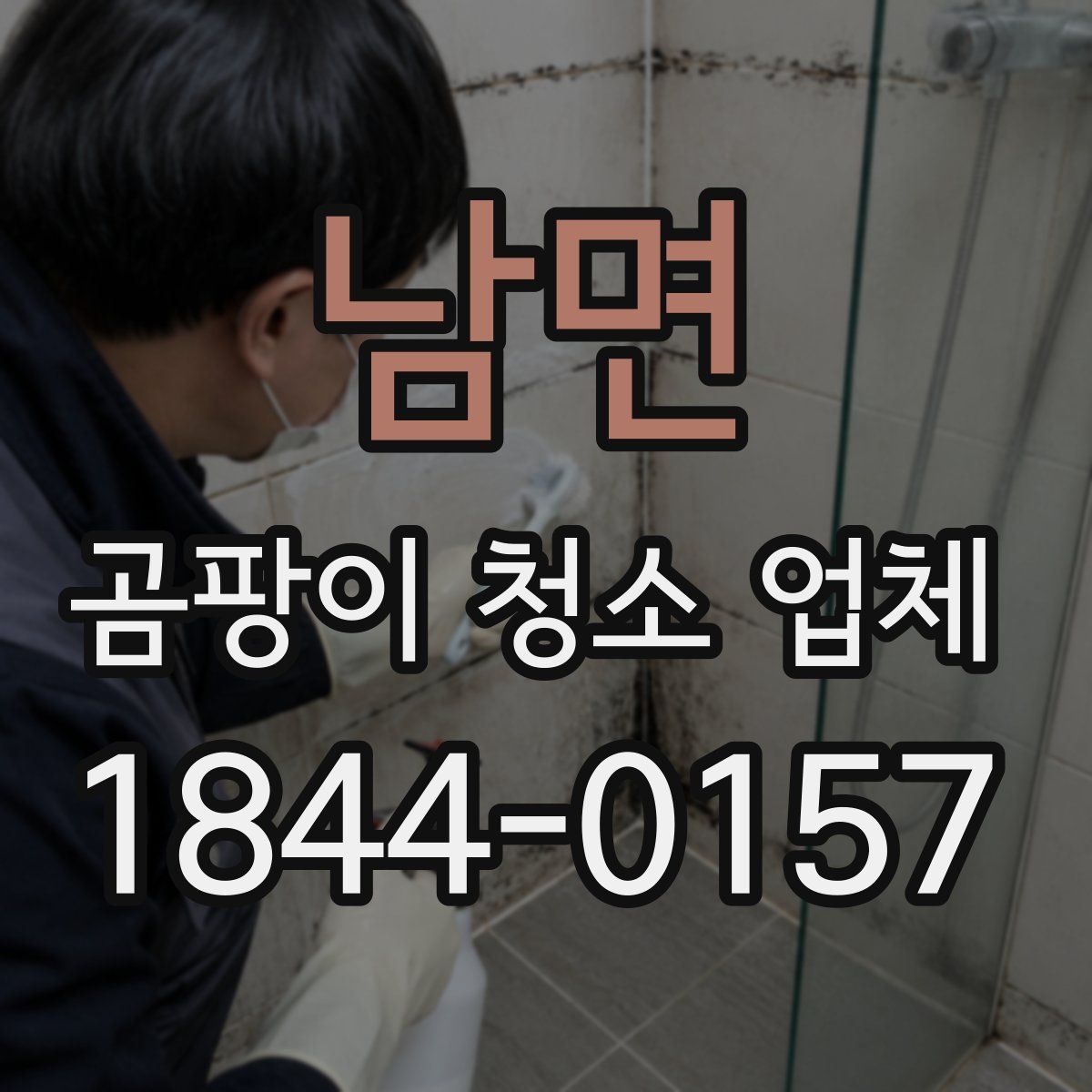 남면 곰팡이 청소 업체