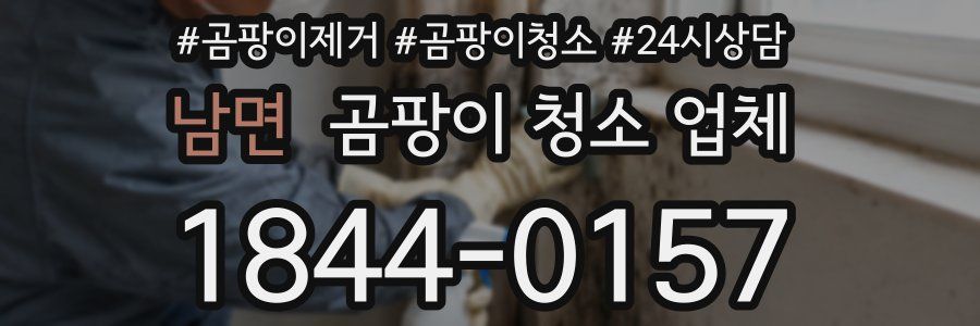 남면 곰팡이 청소 업체