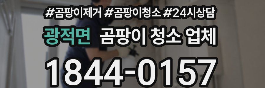 광적면 곰팡이 청소 업체