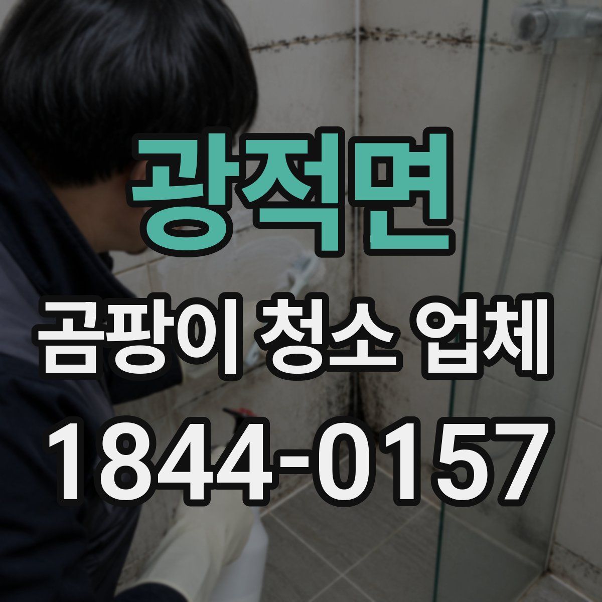 광적면 곰팡이 청소 업체