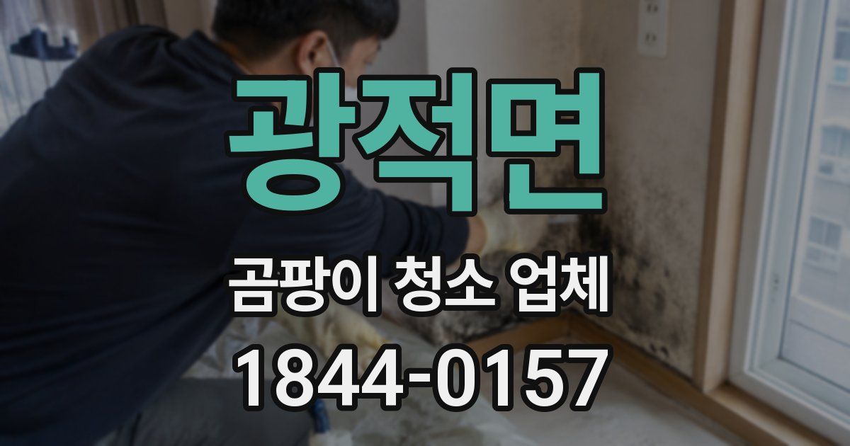 광적면 곰팡이 청소 업체