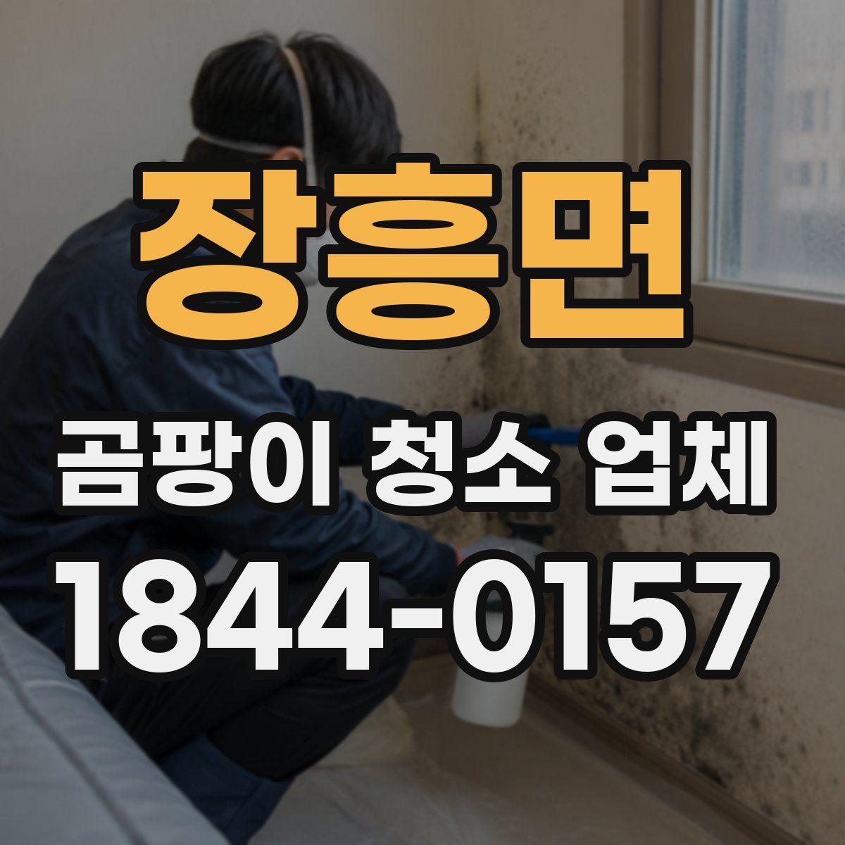 장흥면 곰팡이 청소 업체