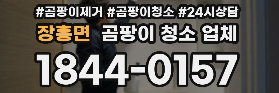 장흥면 곰팡이 청소 업체