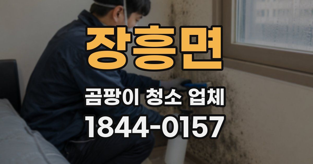 장흥면 곰팡이 청소 업체