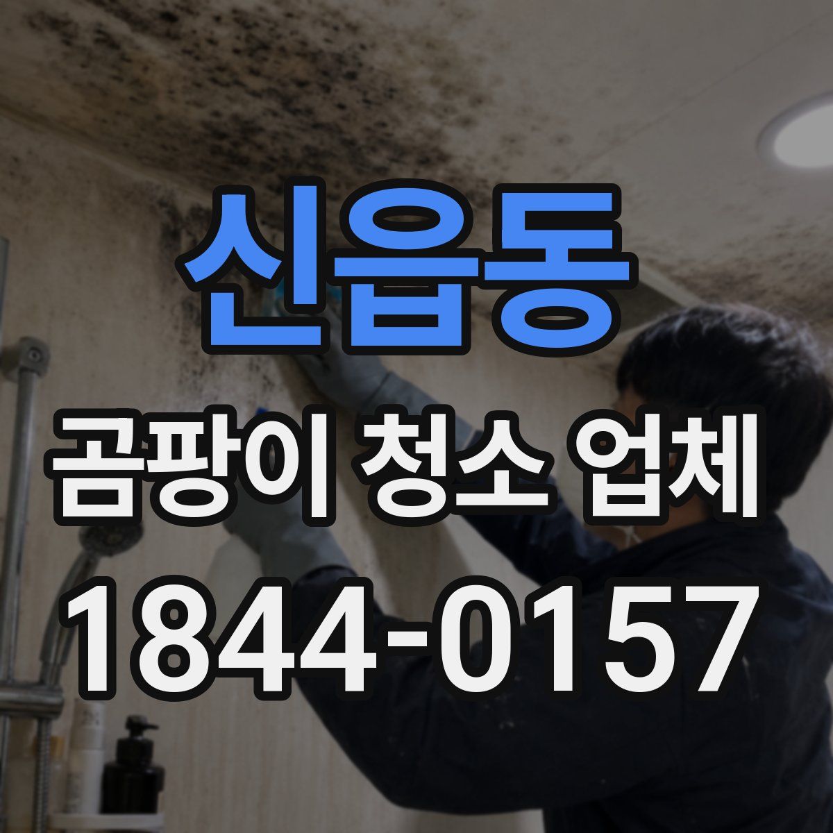 신읍동 곰팡이 청소 업체