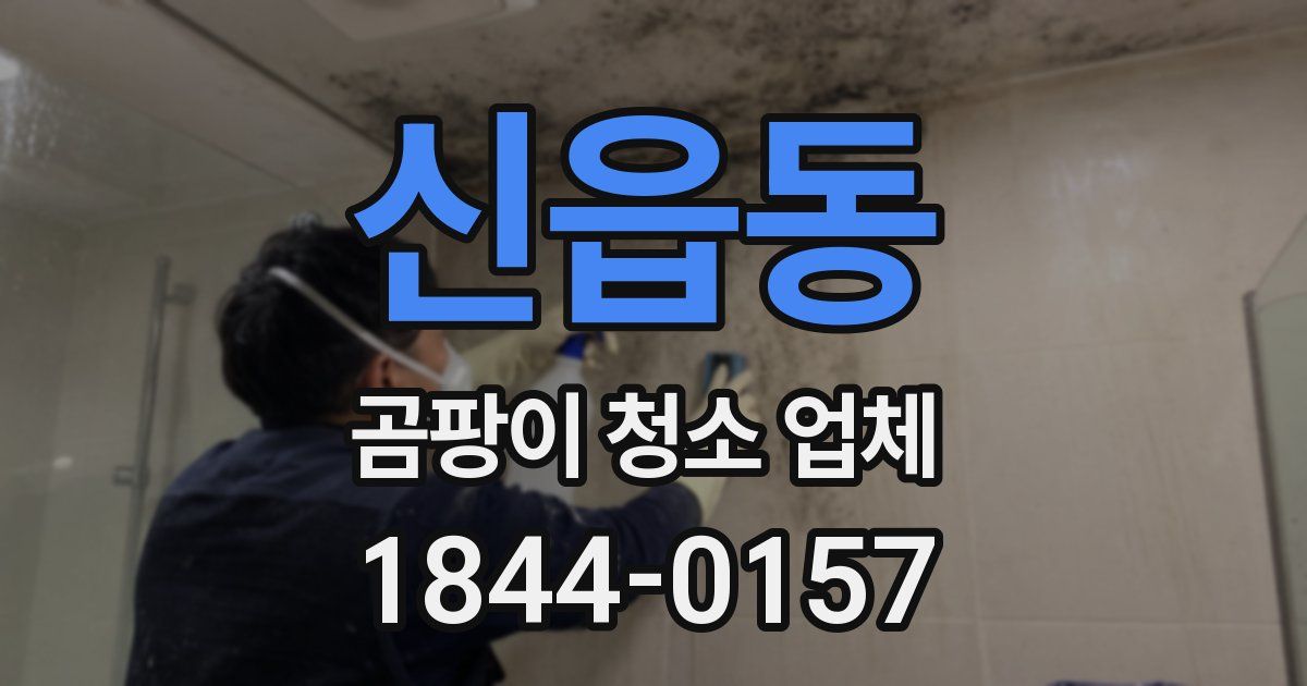 신읍동 곰팡이 청소 업체
