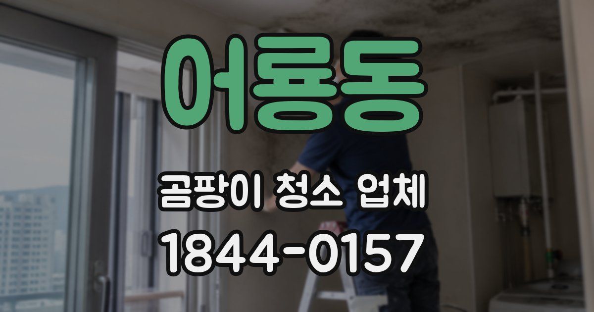 어룡동 곰팡이 청소 업체