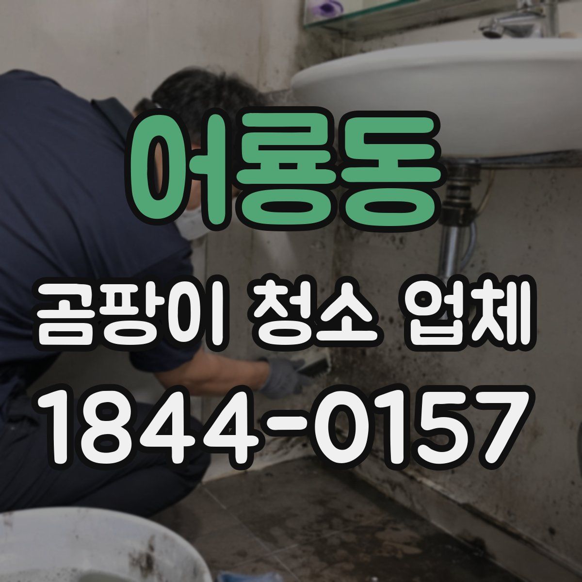 어룡동 곰팡이 청소 업체
