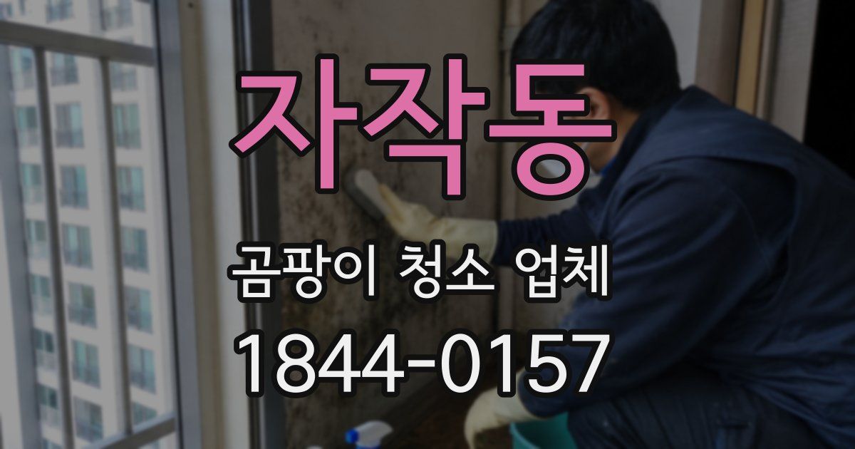 자작동 곰팡이 청소 업체