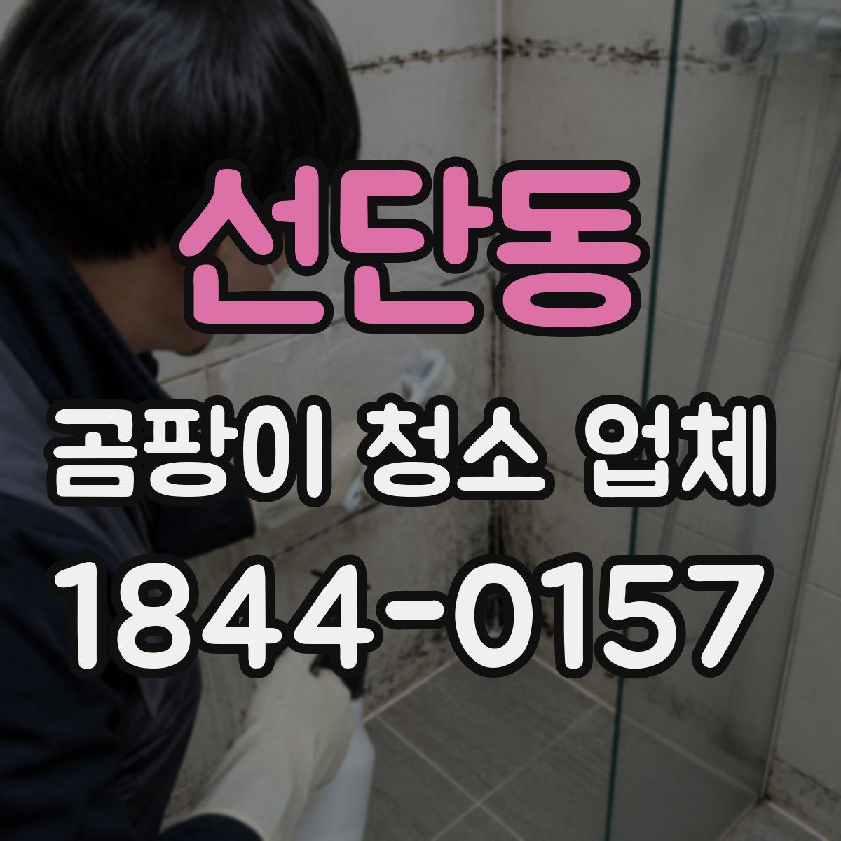 선단동 곰팡이 청소 업체