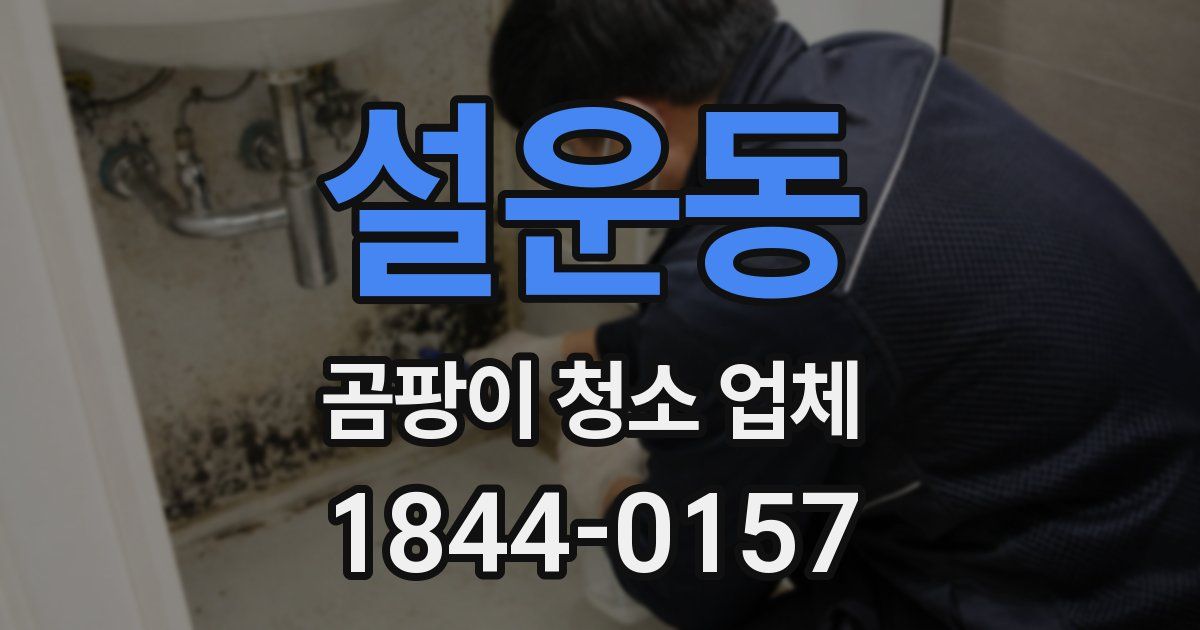 설운동 곰팡이 청소 업체