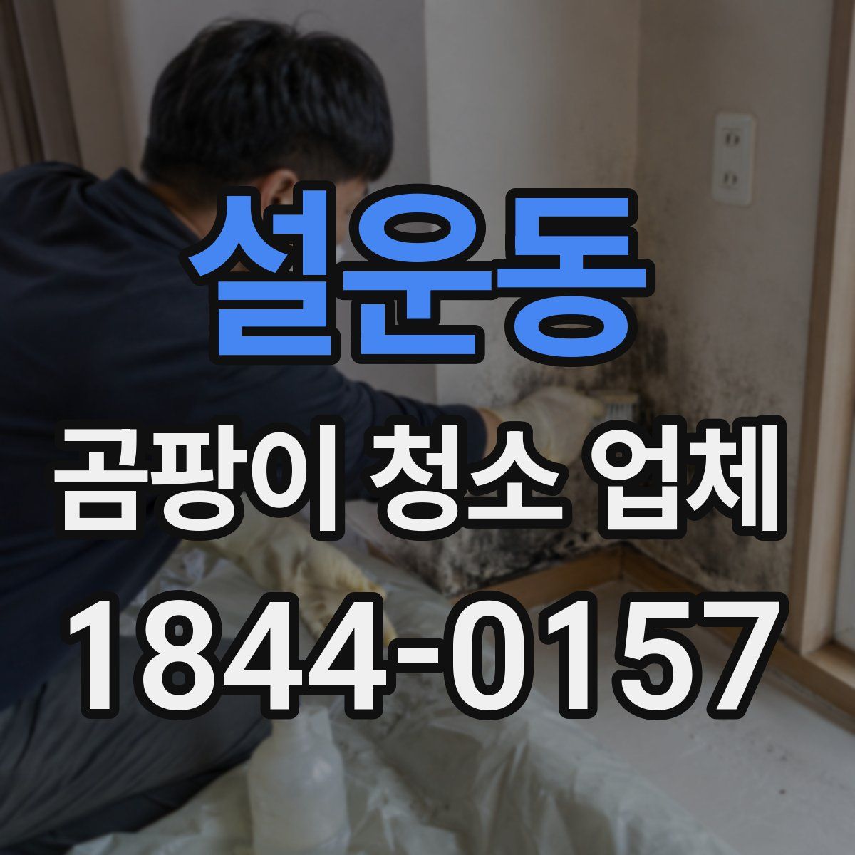 설운동 곰팡이 청소 업체