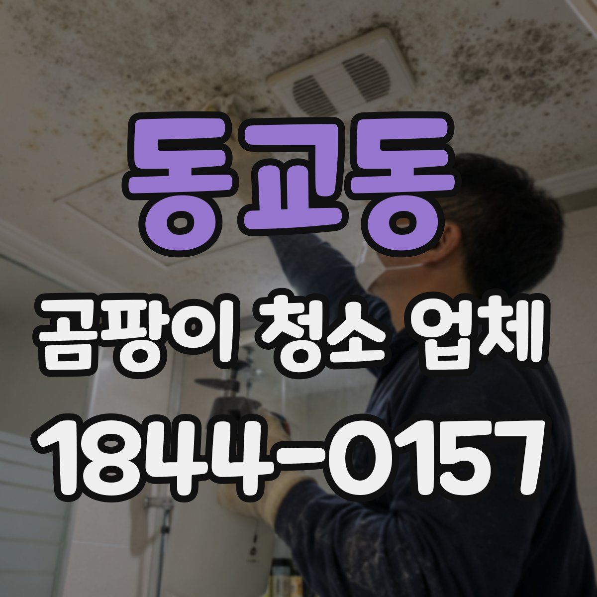 동교동 곰팡이 청소 업체