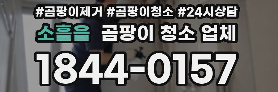 소흘읍 곰팡이 청소 업체
