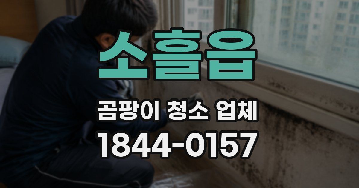 소흘읍 곰팡이 청소 업체