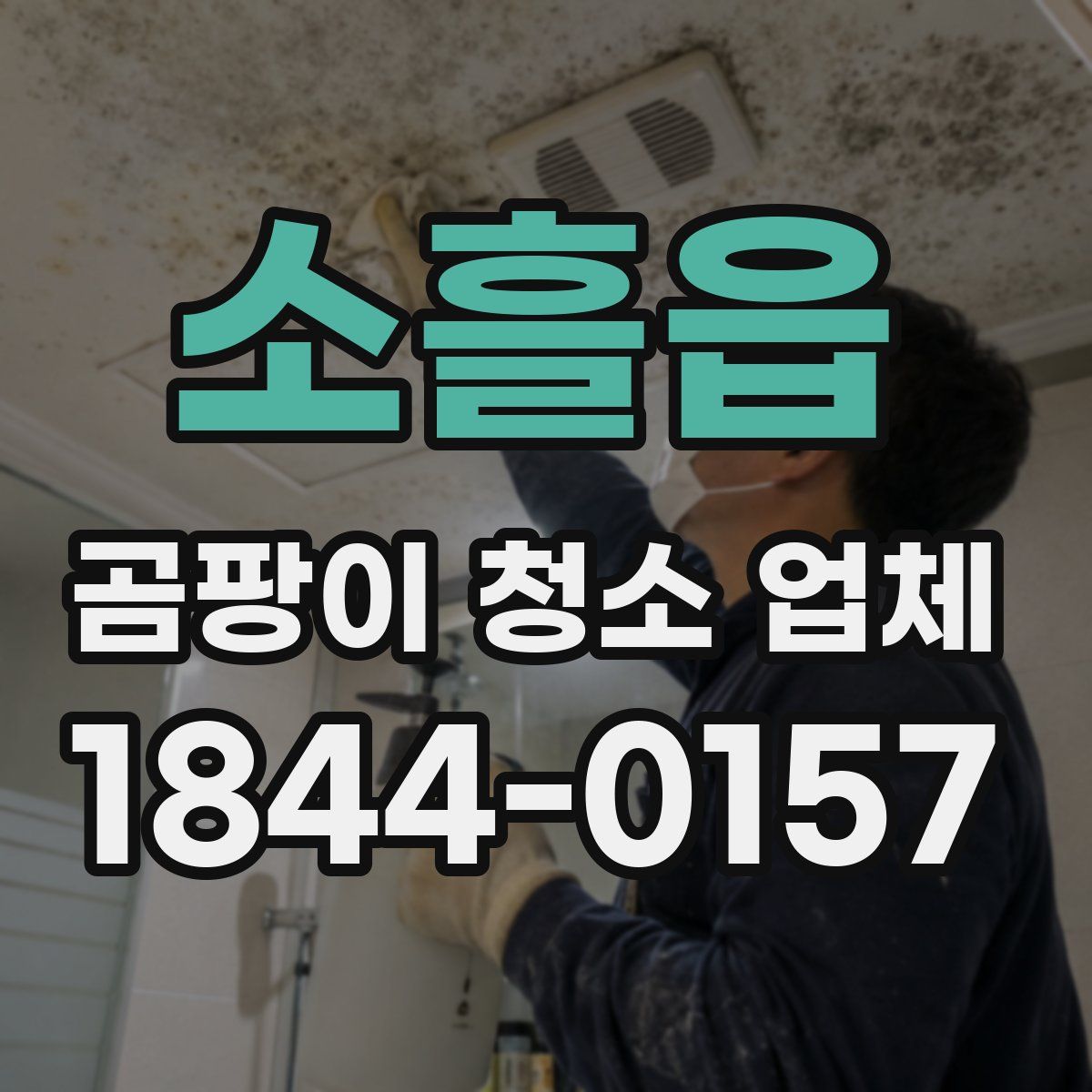 소흘읍 곰팡이 청소 업체