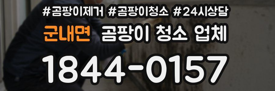 군내면 곰팡이 청소 업체