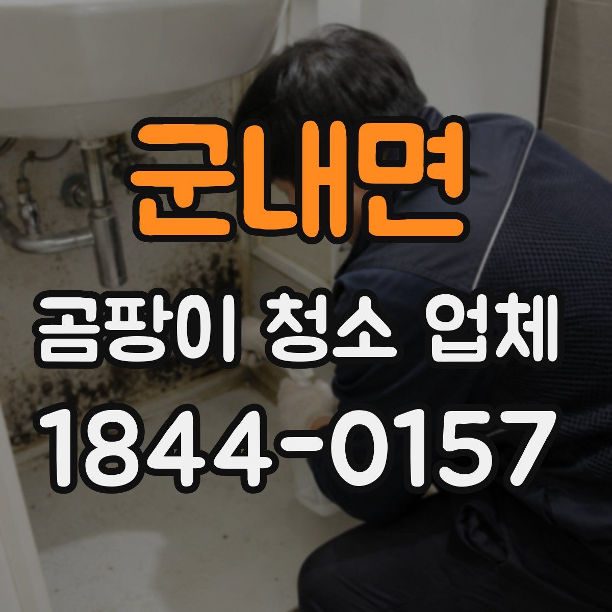 군내면 곰팡이 청소 업체
