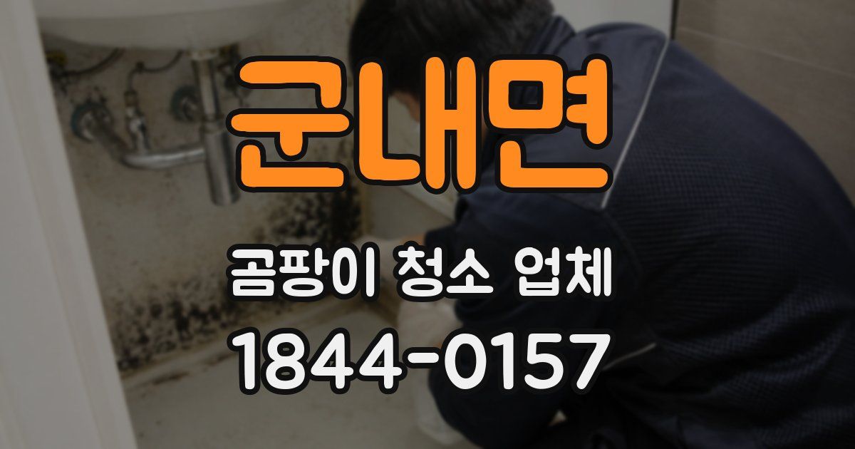 군내면 곰팡이 청소 업체