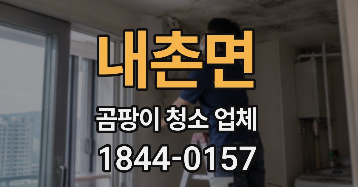 내촌면 곰팡이 청소 업체