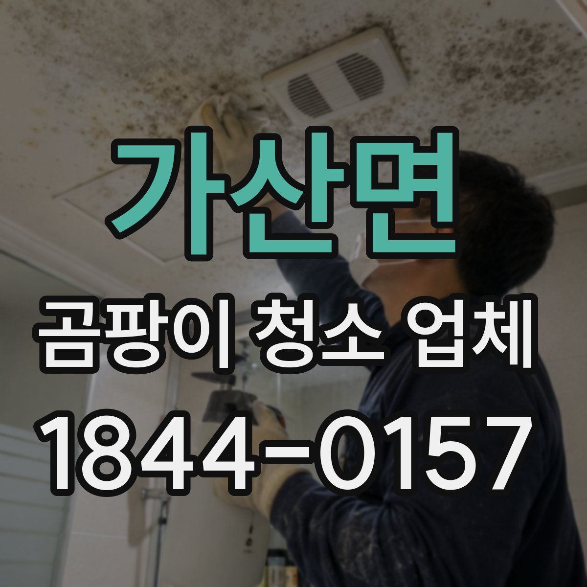 가산면 곰팡이 청소 업체