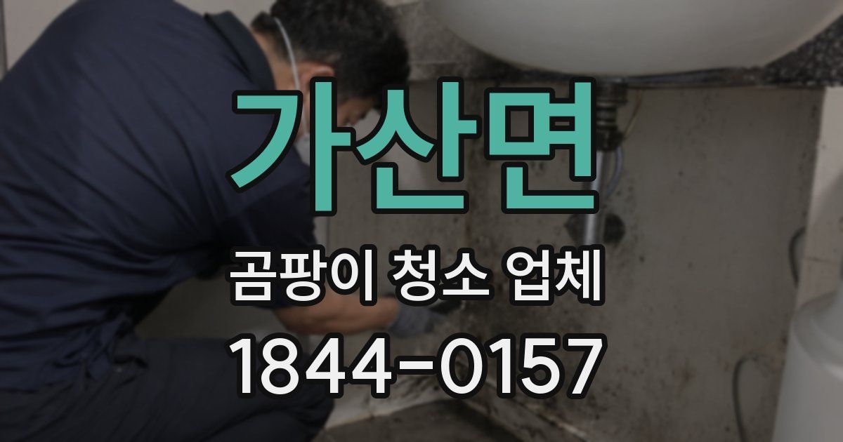 가산면 곰팡이 청소 업체