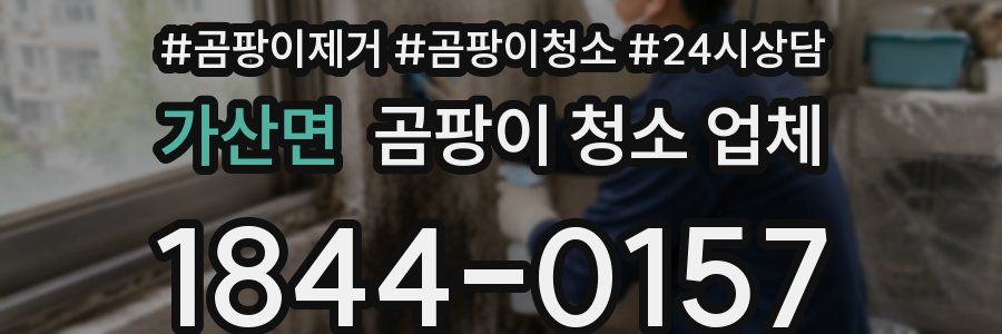 가산면 곰팡이 청소 업체