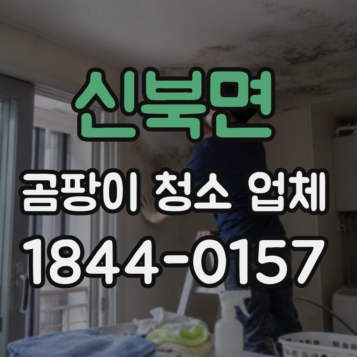 신북면 곰팡이 청소 업체