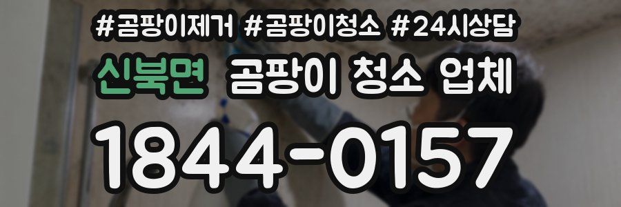 신북면 곰팡이 청소 업체