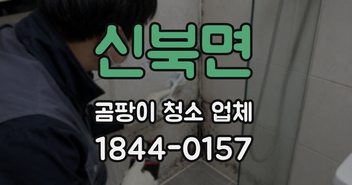 신북면 곰팡이 청소 업체