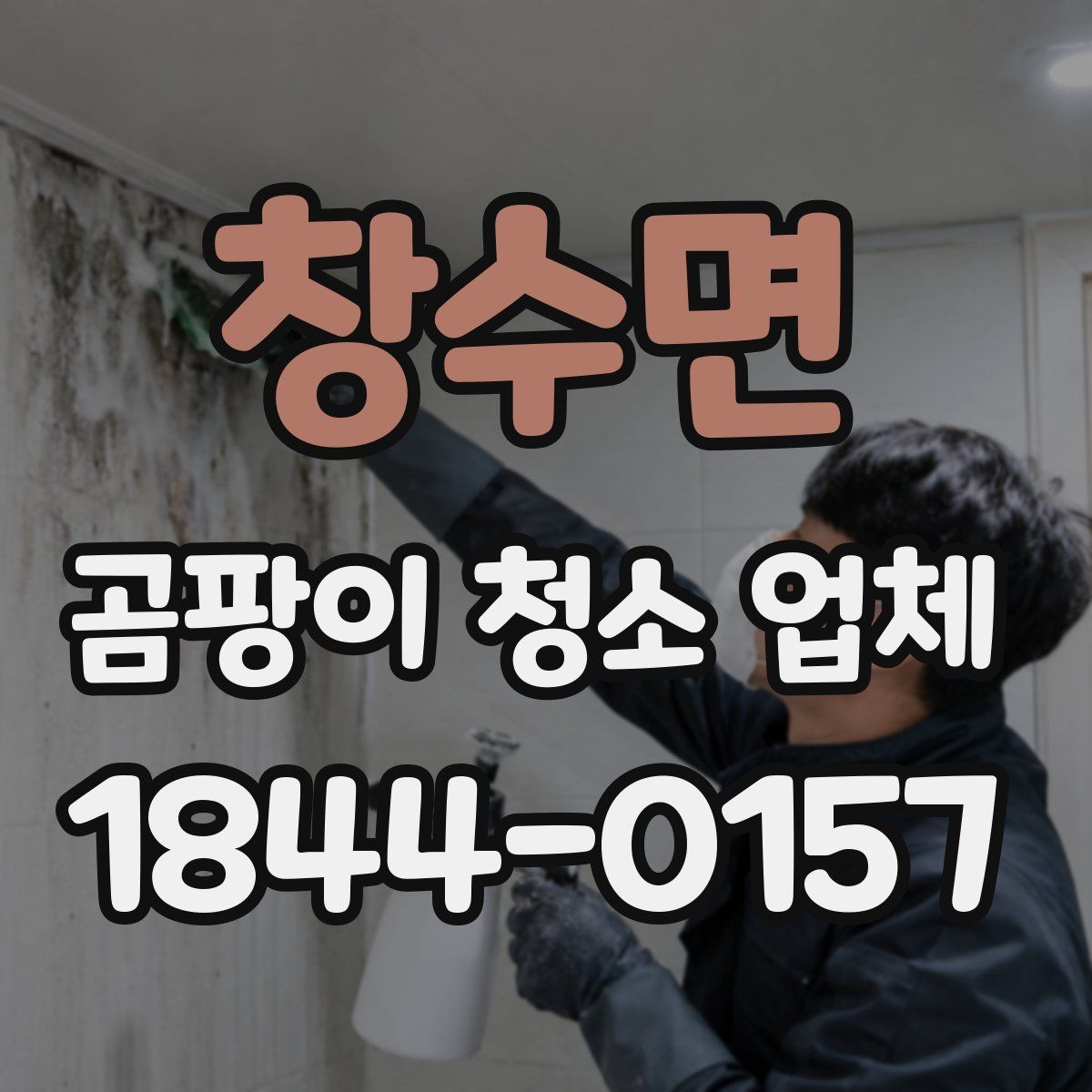 창수면 곰팡이 청소 업체