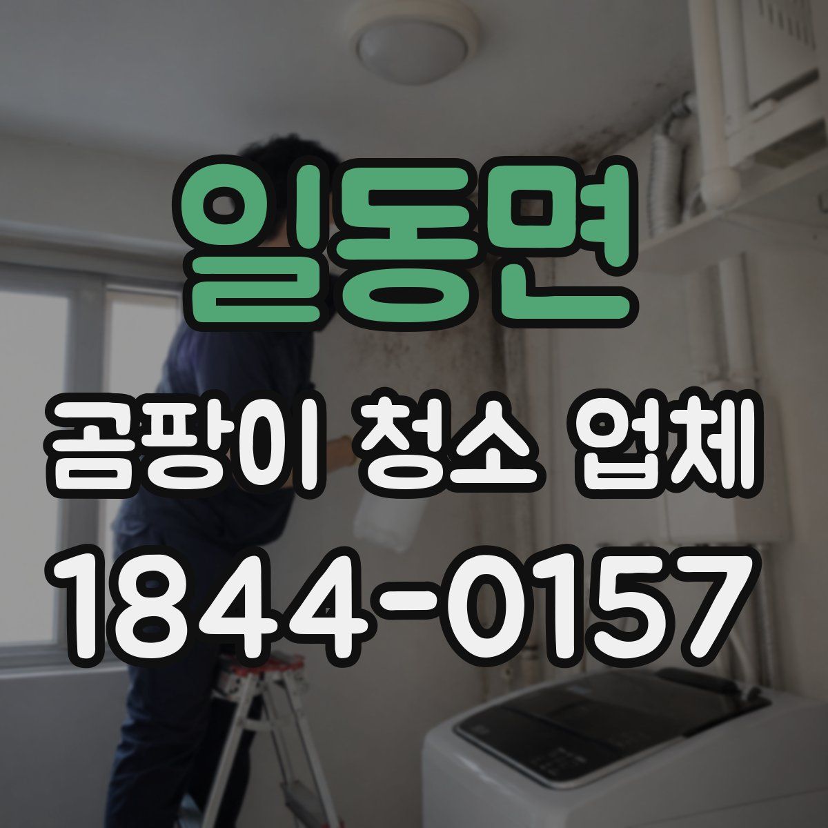 일동면 곰팡이 청소 업체