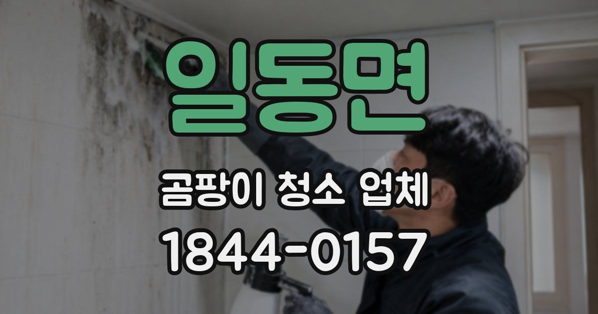 일동면 곰팡이 청소 업체