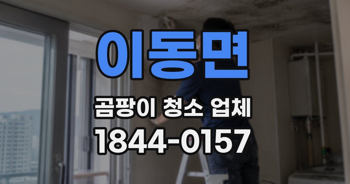 이동면 곰팡이 청소 업체