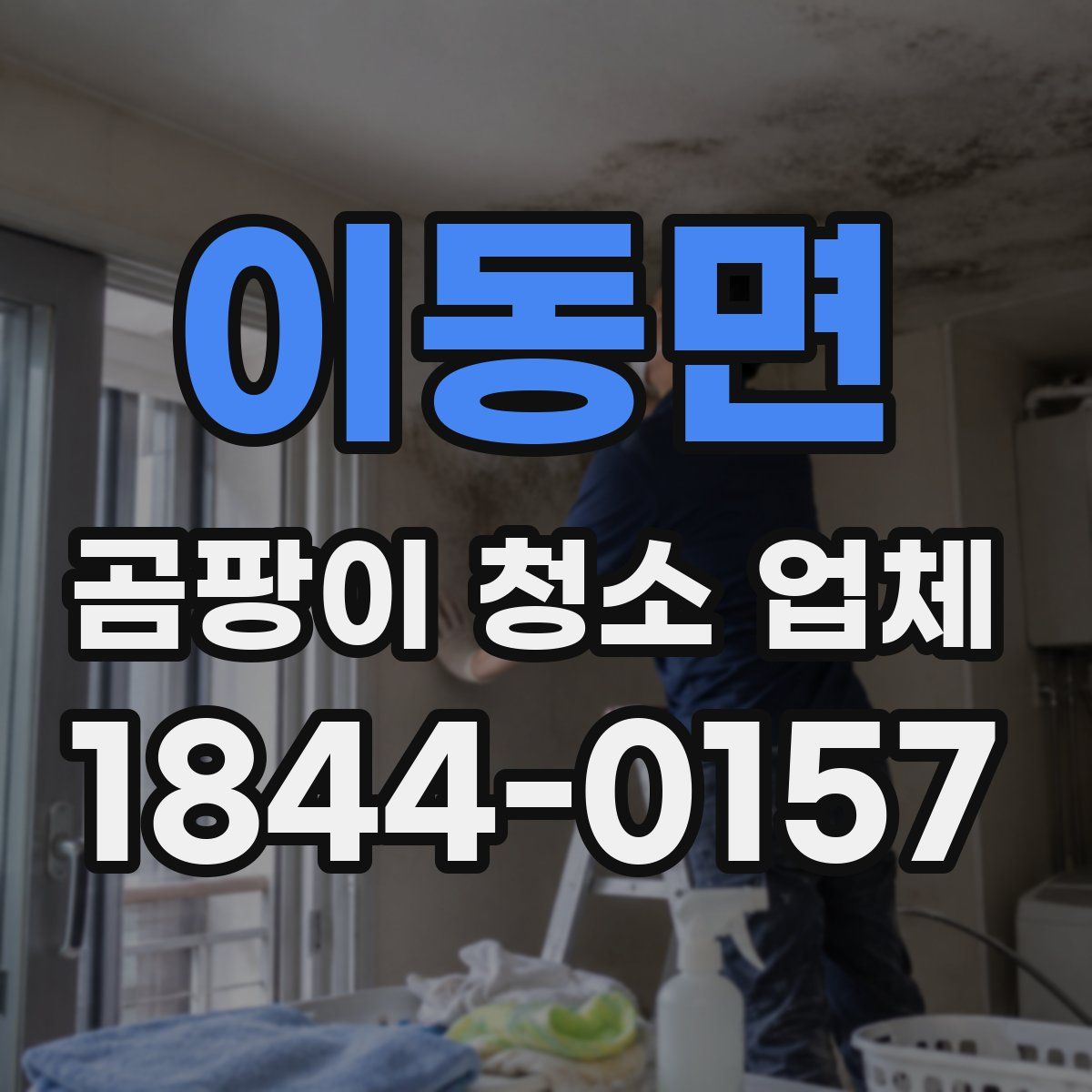 이동면 곰팡이 청소 업체