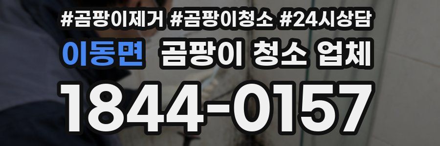 이동면 곰팡이 청소 업체