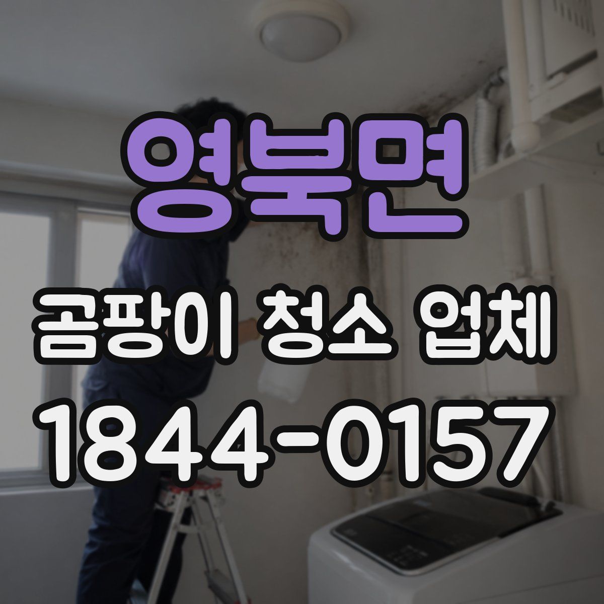 영북면 곰팡이 청소 업체