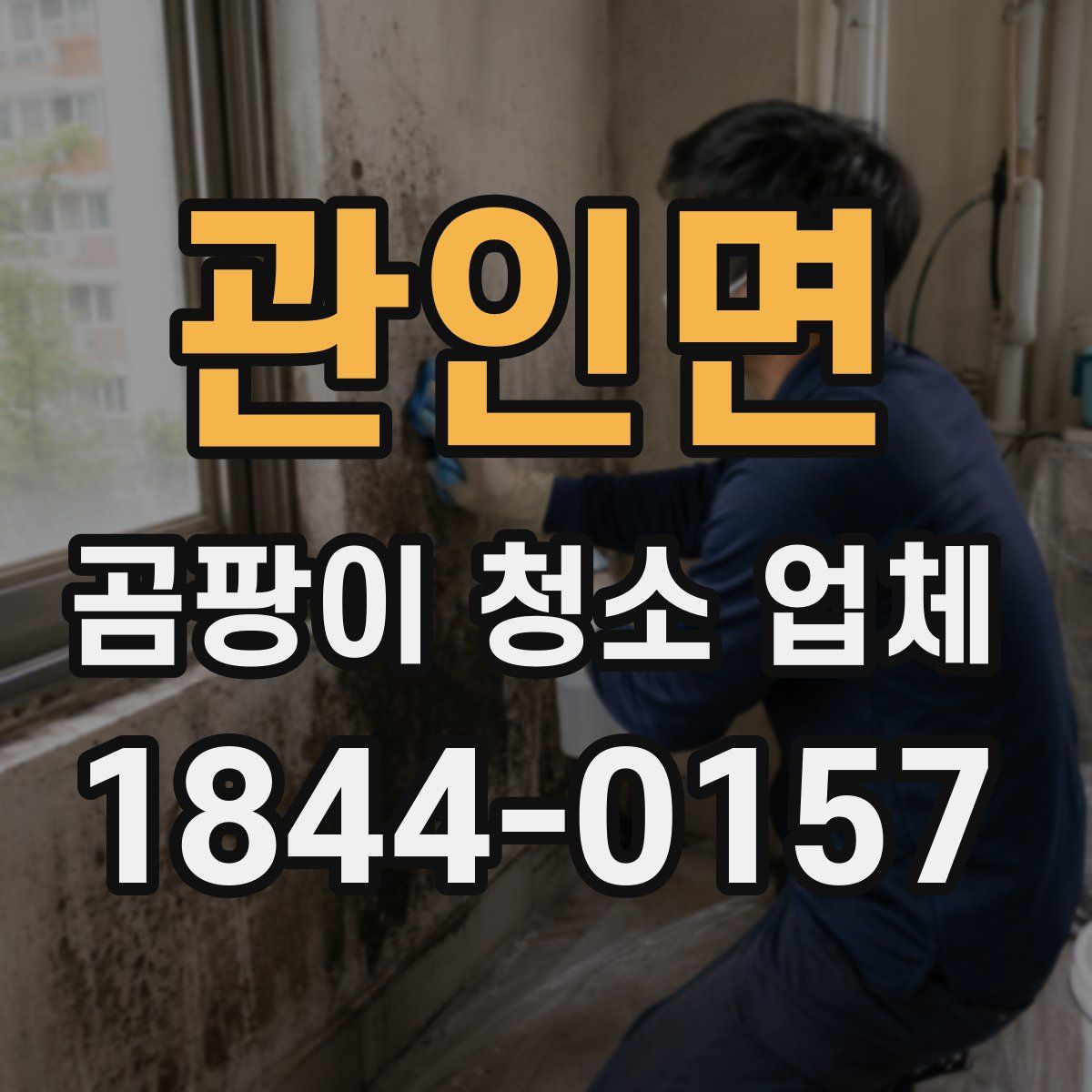 관인면 곰팡이 청소 업체