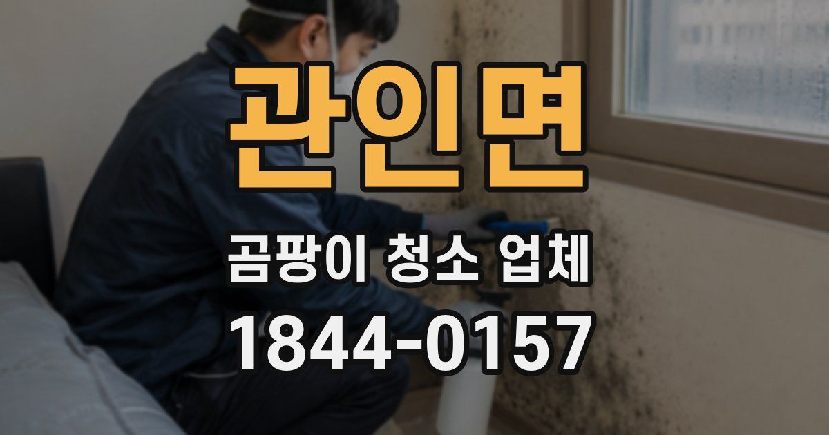 관인면 곰팡이 청소 업체