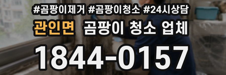 관인면 곰팡이 청소 업체