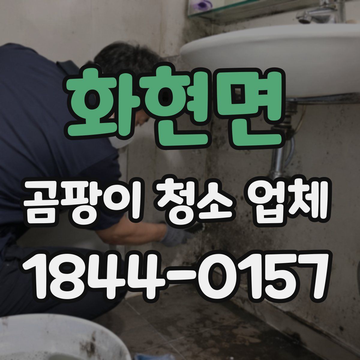 화현면 곰팡이 청소 업체