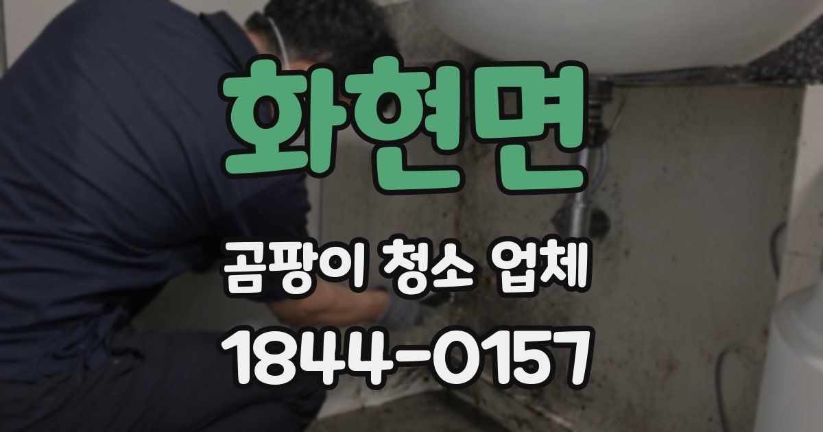 화현면 곰팡이 청소 업체