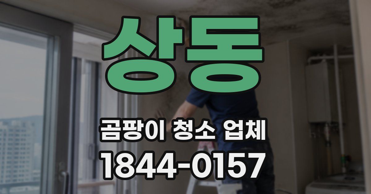 상동 곰팡이 청소 업체