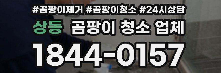 상동 곰팡이 청소 업체