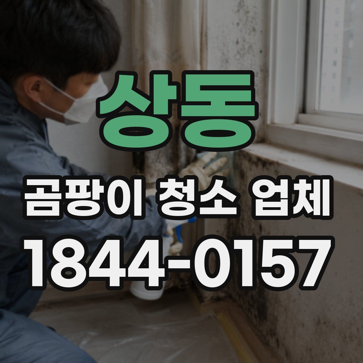 상동 곰팡이 청소 업체