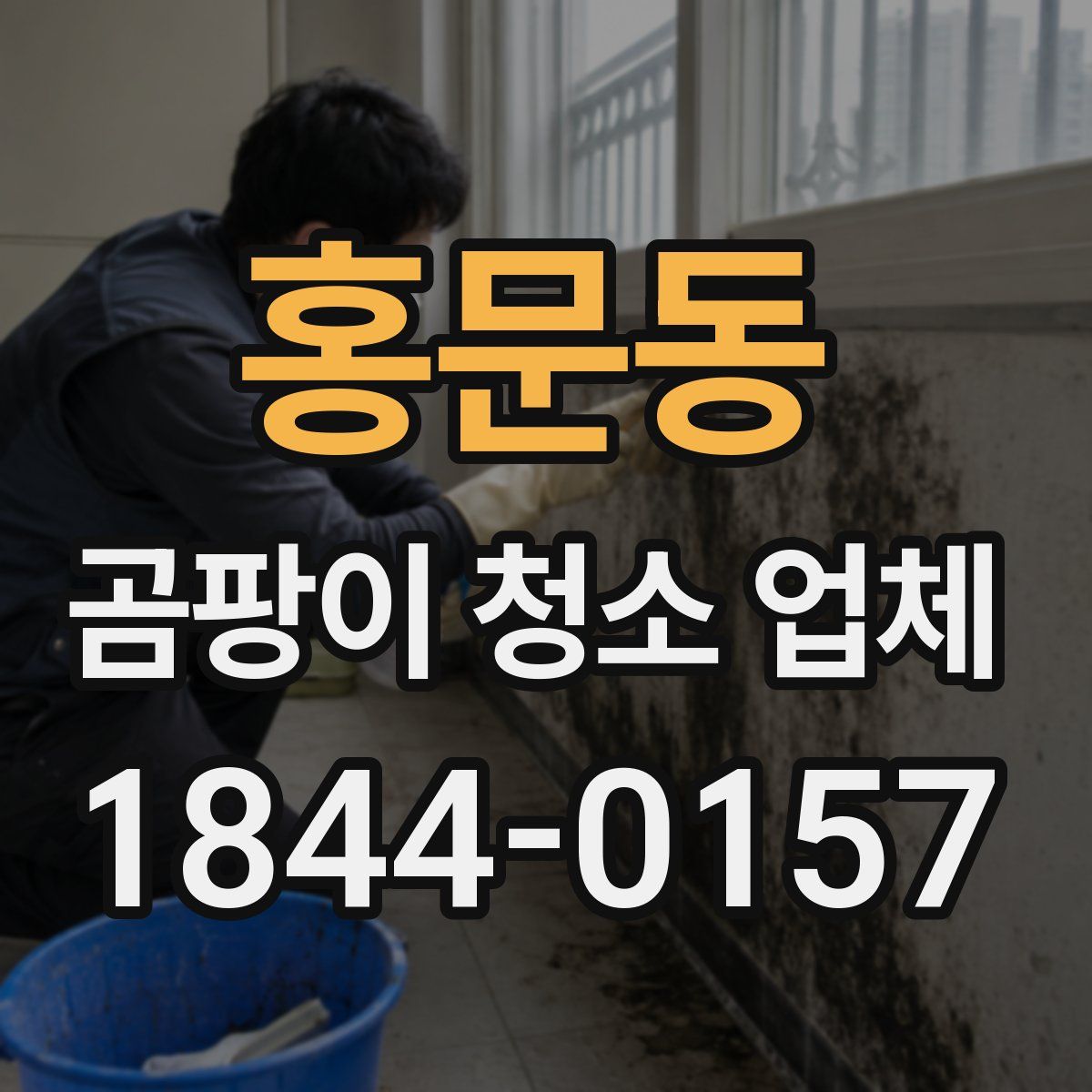홍문동 곰팡이 청소 업체