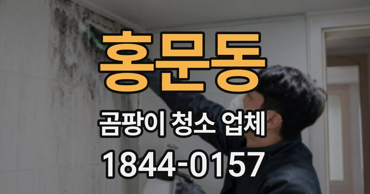 홍문동 곰팡이 청소 업체