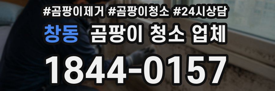 창동 곰팡이 청소 업체