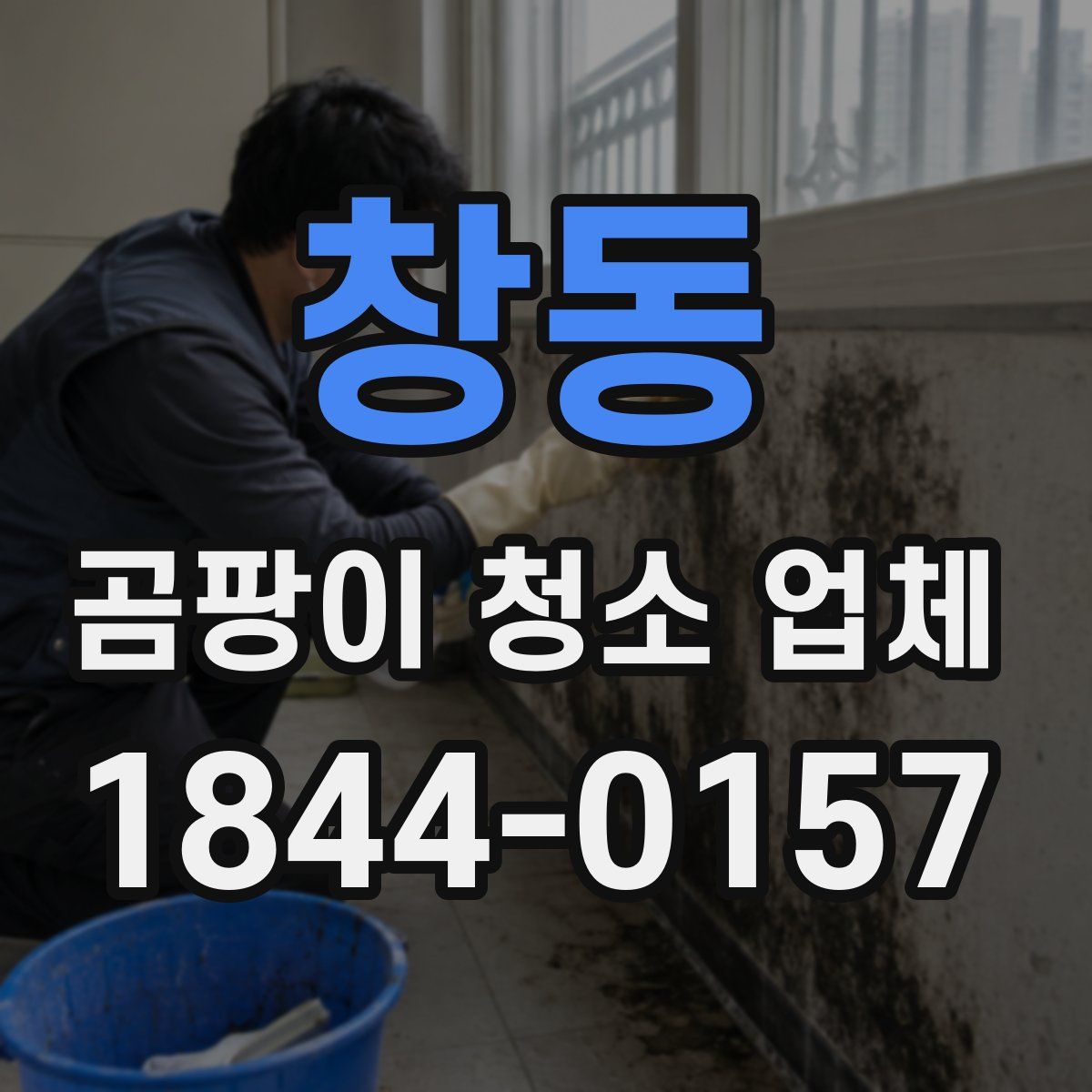창동 곰팡이 청소 업체